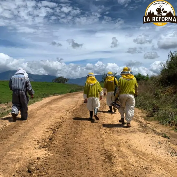 Camino hacia el apiario bajo las nubes