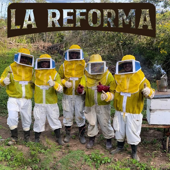 El equipo con los trajes apícolas frente al letrero La Reforma